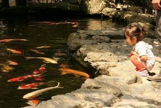 Пруд в Найке.