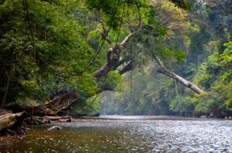 Национальный парк Гунунг Мулу (Таман Негара Гунунг Мулу)