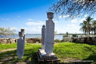 На берегу соляного озера ее мул споткнул