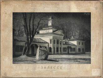 Приехав в Залесье, Михал Клеофас Огински