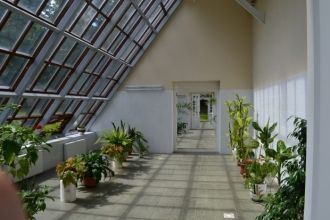 Вторая оранжерея, так называемая америка