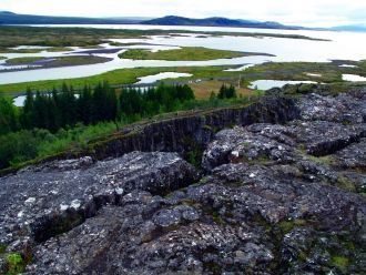 Исследования учёных доказали, что террит