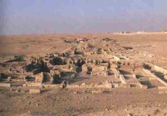 Пастух заметил, что его больная овца нап