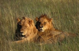 В зимние месяцы господствует северо-вост