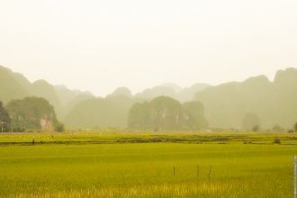 Местные рисово-карстовые ландшафты.
