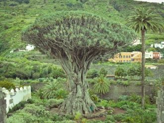 Помимо чудо-насекомых в парке есть на чт