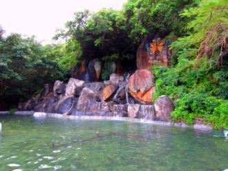 В «Ущелье» собраны бабочки со всего свет