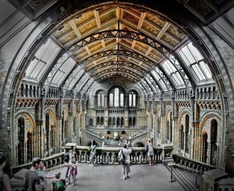 После смерти Ганса Слоана оказалось, что