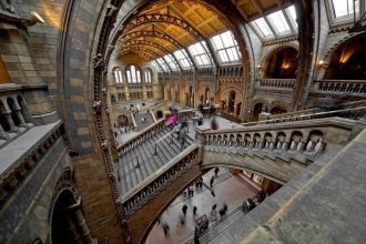 Музей является неправительственной общес