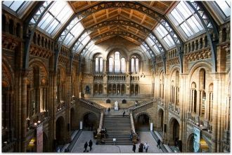 Музей наиболее известен благодаря коллек