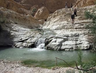 Экология и мир, заповедник, израиль, мер
