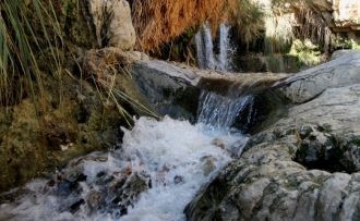 Национальный заповедник Эйн-Геди