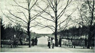 В 1923 году по соседству с этим садом пр