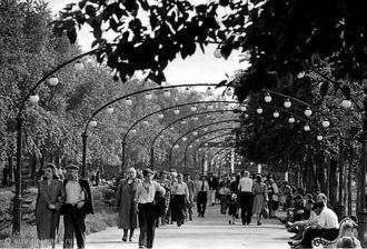 Ландышевая аллея парка, 1950-е гг.