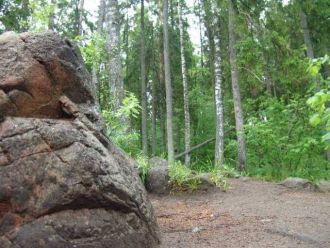 Лес в Покайне – не место для обычных про