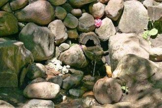 В 1995 году группа энтузиастов начала оч