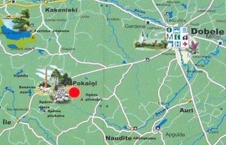 Лес вырос в этом районе примерно с начал