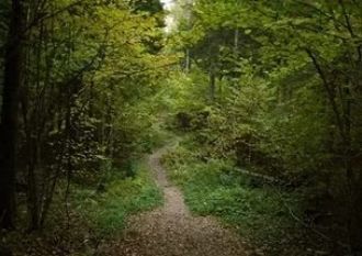 Одни считают Покайне святилищем дохристи