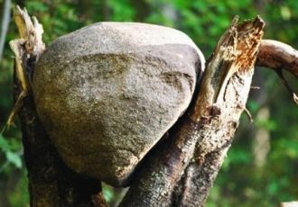 Обитают ли в странных камнях человечески