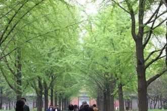 От входа на север идет довольно длинная 