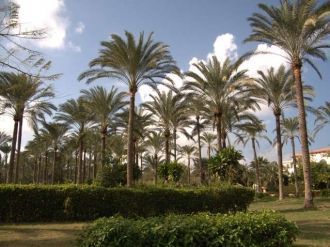 Архитектура дворца сочетает в себе тради