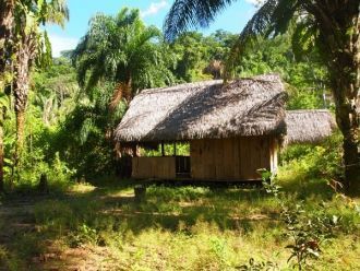 Национальный парк Мадиди. Жилище местных