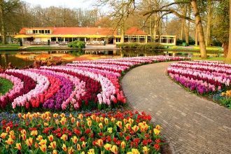 Лучший в мире парк цветов Кекенхоф в Амс