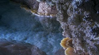 Открыта пещера была в 1986 году спелеоло