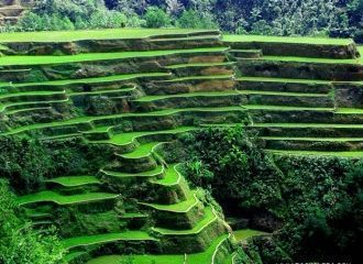 В 1995 году ирригационные системы в Бана