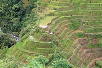 Эти террасы повторяют очертания гор и им