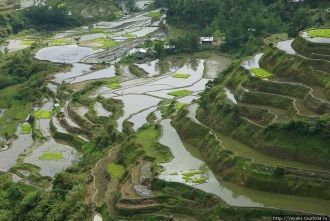 Самое невероятное, что эти террасы сдела