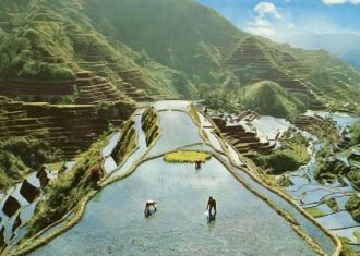 Всё то время, пока поля находятся «под в