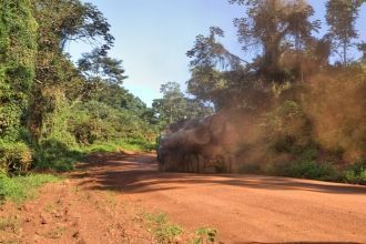 А еще эти трудолюбивые обитатели дождево