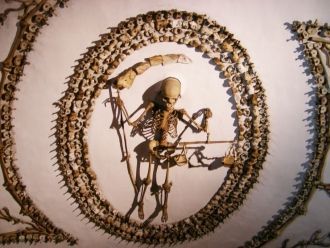 В пятом зале крипты размещён скелет прин