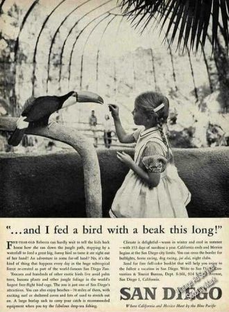 Девочка кормит тукана. 1961 год