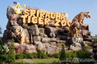 Тигровый зоопарк Sriracha Tiger Zoo в Па