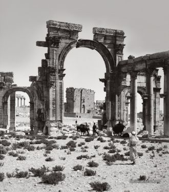 Пальмира, 1900 год
