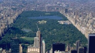 Центральный парк Нью-Йорка с высоты птич