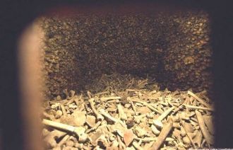 В катакомбах хранятся останки бывших арх