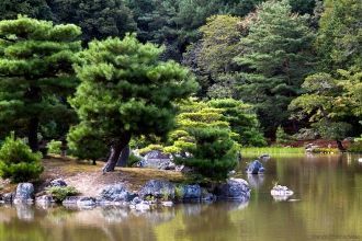 Павильон окружает сад и пруд Кёко-ти (Ky