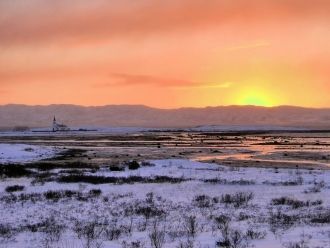 В акватории фьорда часто можно увидеть к