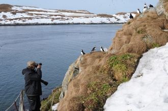 Множество птичих базаров, разбросанных п