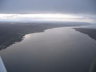 Тюлени это обычное явление, редкий выход