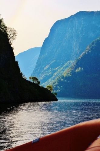 Несмотря на мягкий климат (сказывается в