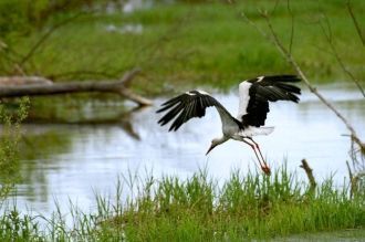 Это край уникальной девственной природы.