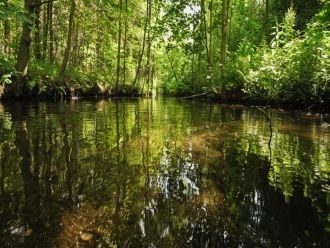 Изобилует озёрами (ок. 2700, общая пл. 1