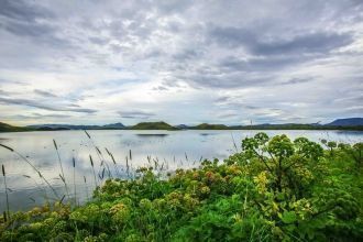 Последних здесь обитает больше, чем где 