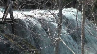 Водопад является природным памятником ре