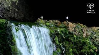 Вода Атыша, как и всякого подземного ист