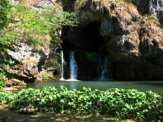 Данное творение природы представляет соб